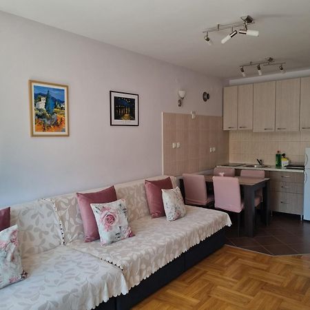 Studio Apartman Zvezdana Noc Vrnjačka Banja Exterior foto