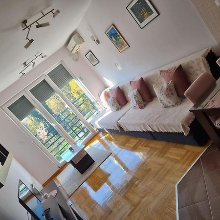 Studio Apartman Zvezdana Noc Vrnjačka Banja Exterior foto