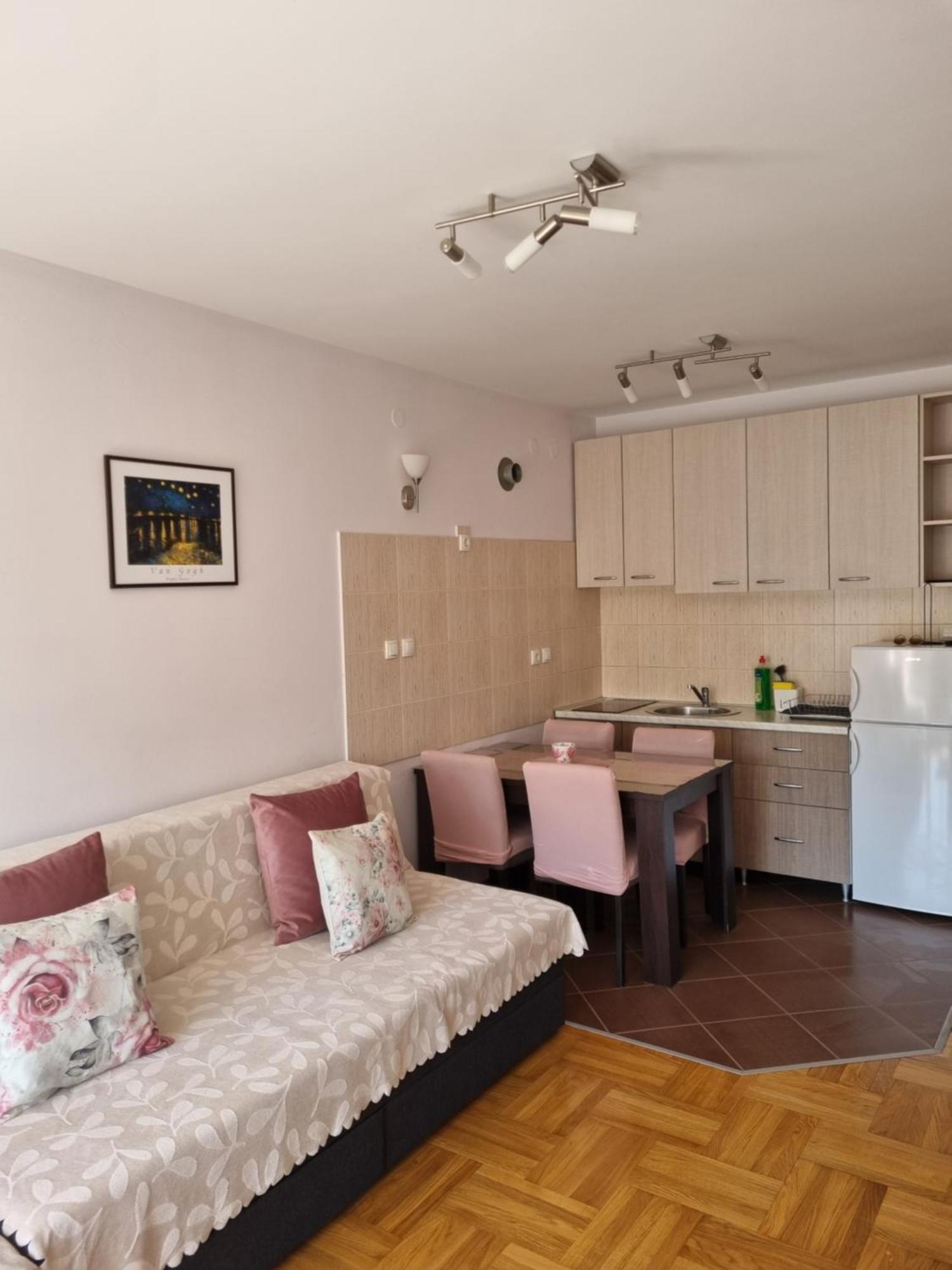 Studio Apartman Zvezdana Noc Vrnjačka Banja Exterior foto